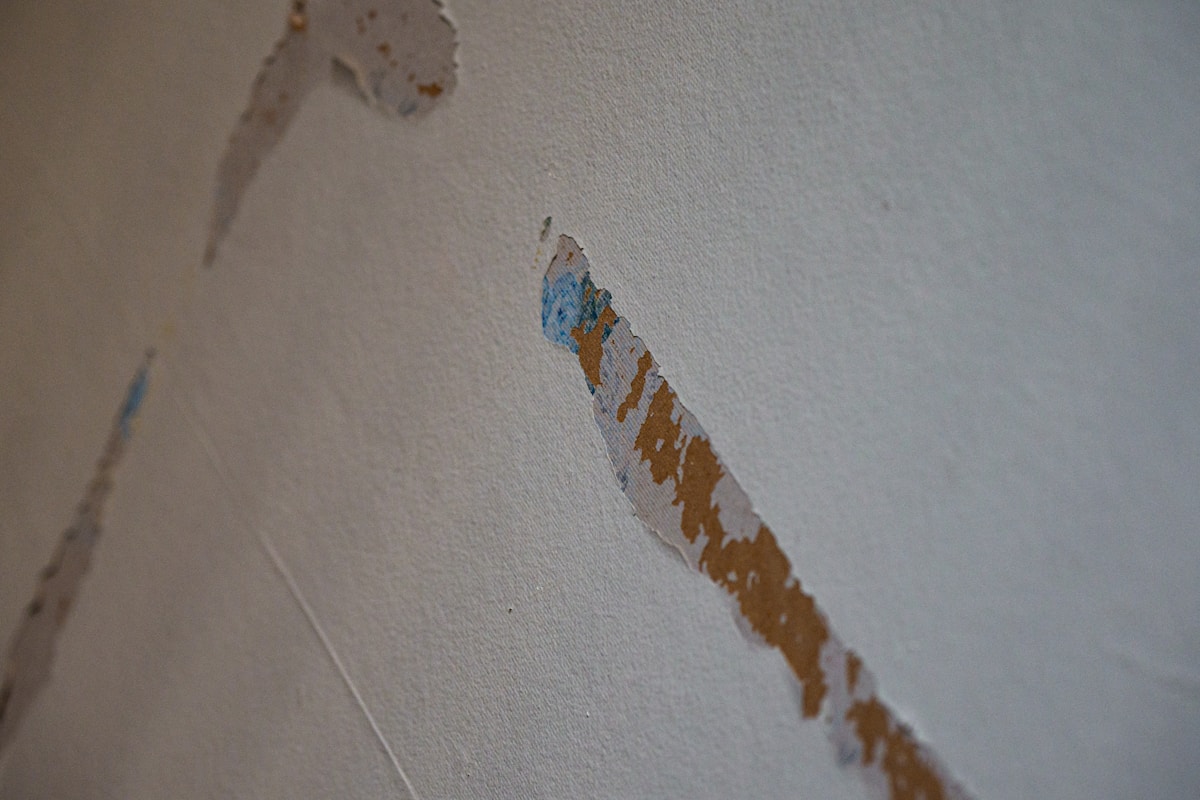 Sewage Cleanup service in Bellingham, WA